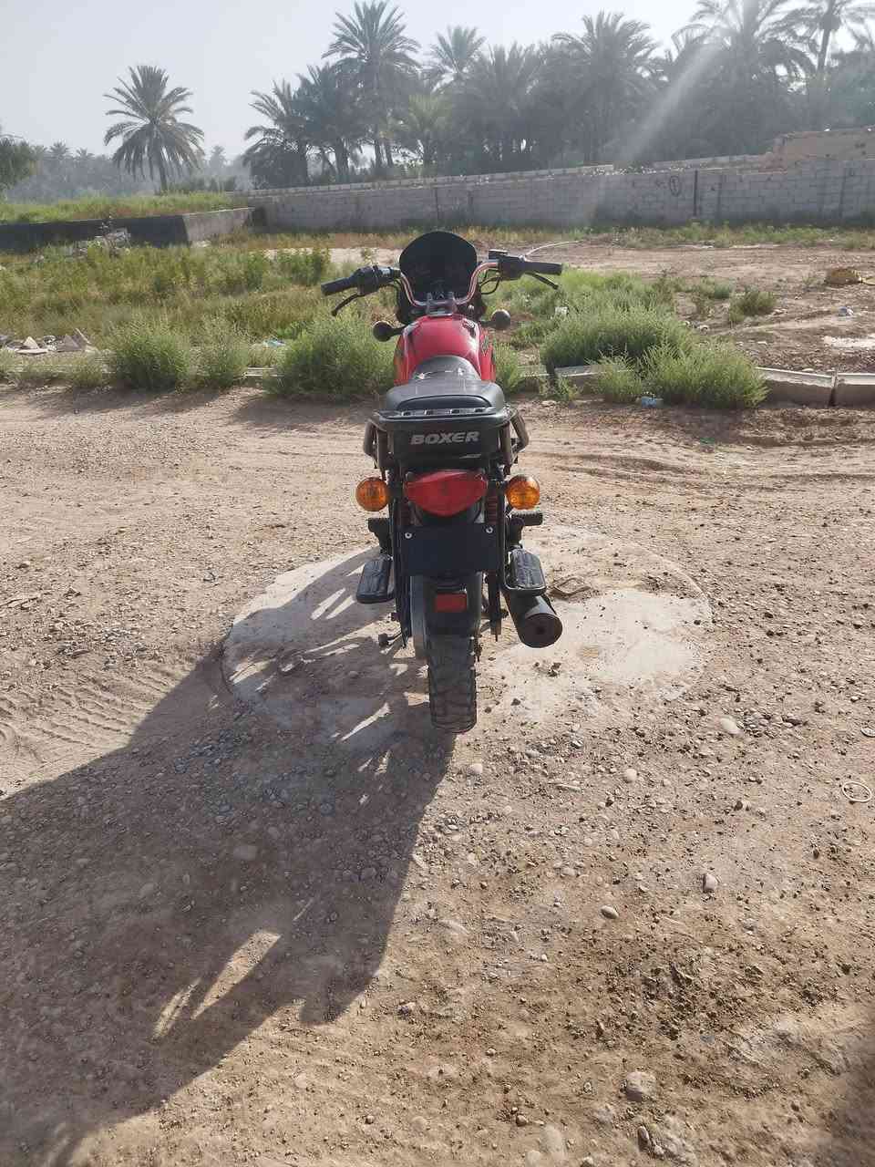 السلام عليكم
بوكسر موديل 23 جبلي 

مكينه مكفوله 

مرقم باسمي 

مكانه ديالى بعقوبة 

السعر 2250وبيه مجال قليل


**إذا كنت صاحب هذا الإعلان وتريد حذفه لأي سبب، رجاءا أرسل رسالة إلى الدعم الفني**