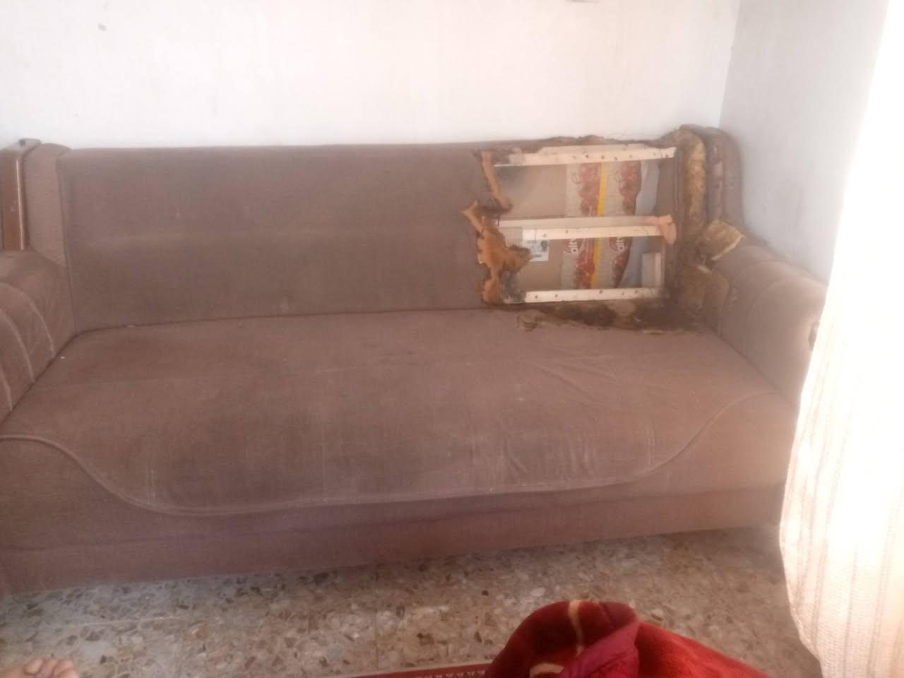 تخم اللبيع سعر 100وبي مجال


**إذا كنت صاحب هذا الإعلان وتريد حذفه لأي سبب، رجاءا أرسل رسالة إلى الدعم الفني**