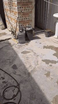 بيت البيع مساحه 100م وجهه 5 نزال 20
فرع ثاني عن شارع العام من جهه مدرسة السرايا كل تفاصيل في فيديو سعر 30وبي مجال سكف سندويش شراء يتصل ***********
