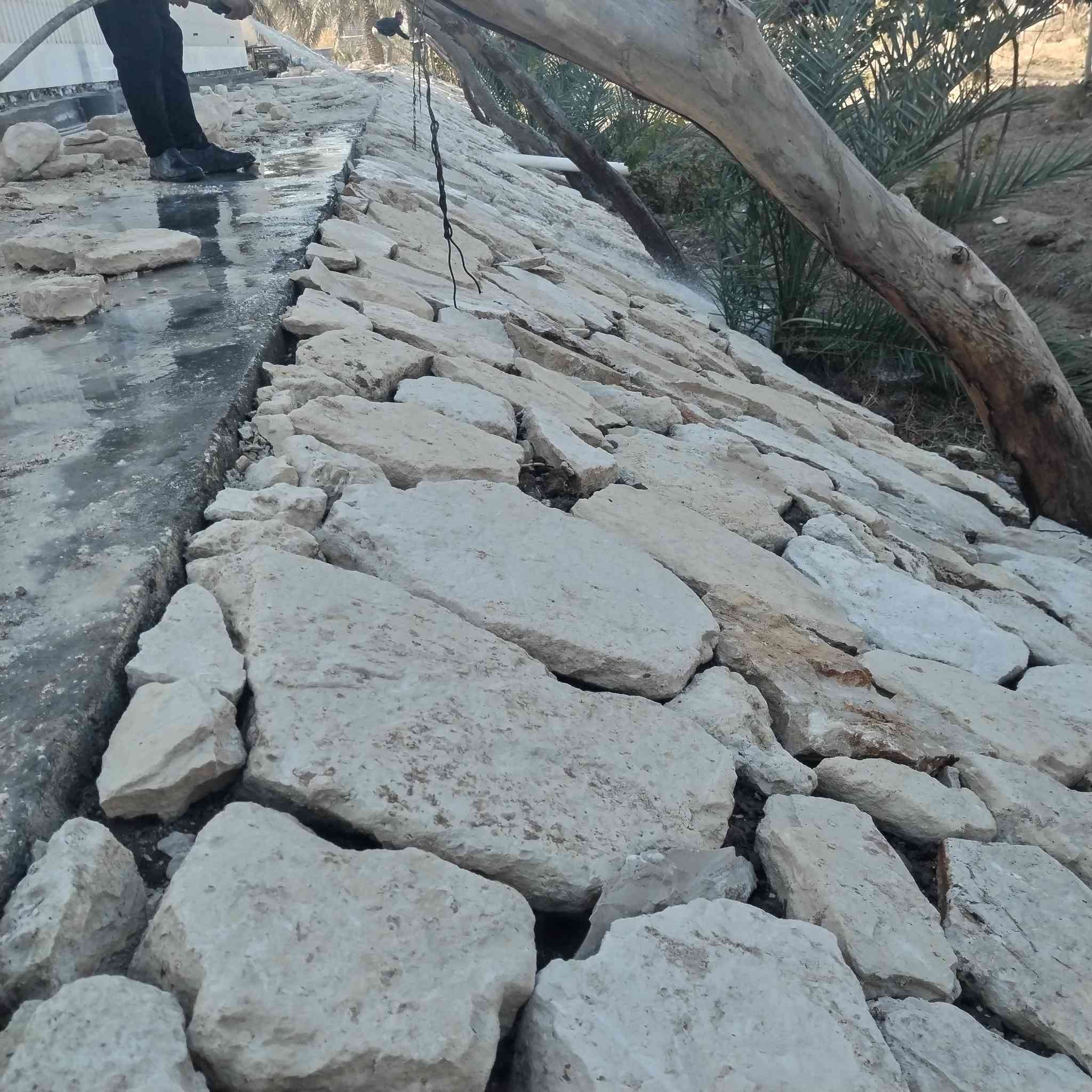 ***********++***********
