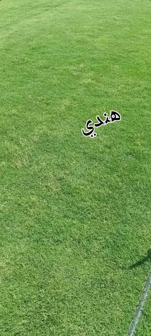 هندي فرنسي وايطالى للبيع توصيل كافت محافظات مع كادر عمل فرش وتأسيس مرشات بأنواعها ***********
