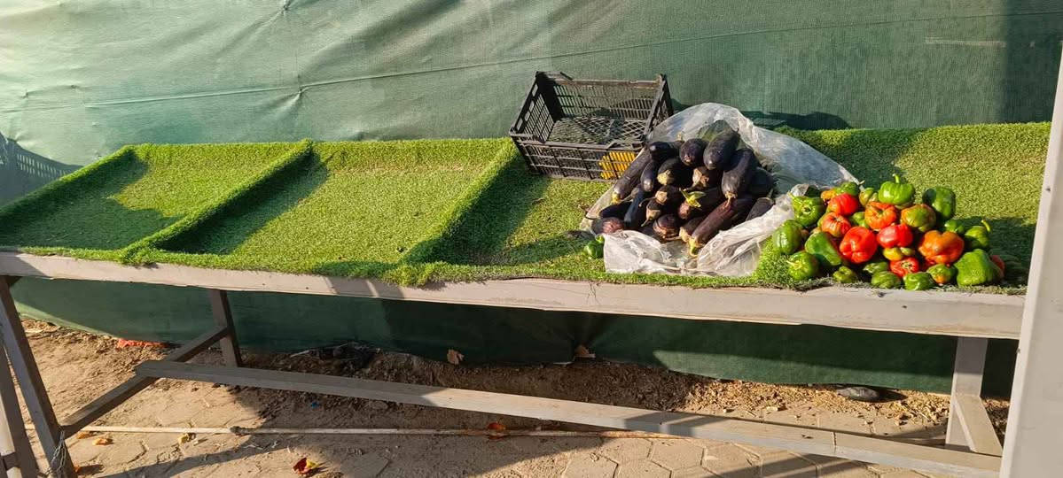 ميازه مخضر 3ميازه طول والميز 3مترات واحد منهم جبير مثل ما موضح بل صوره *********** Singapore
