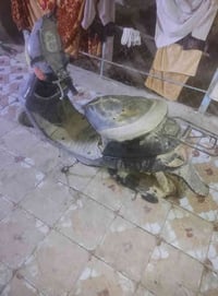 للبيع زعره 07858843850