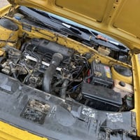 سمند • ٢٠١١ • كربلاء