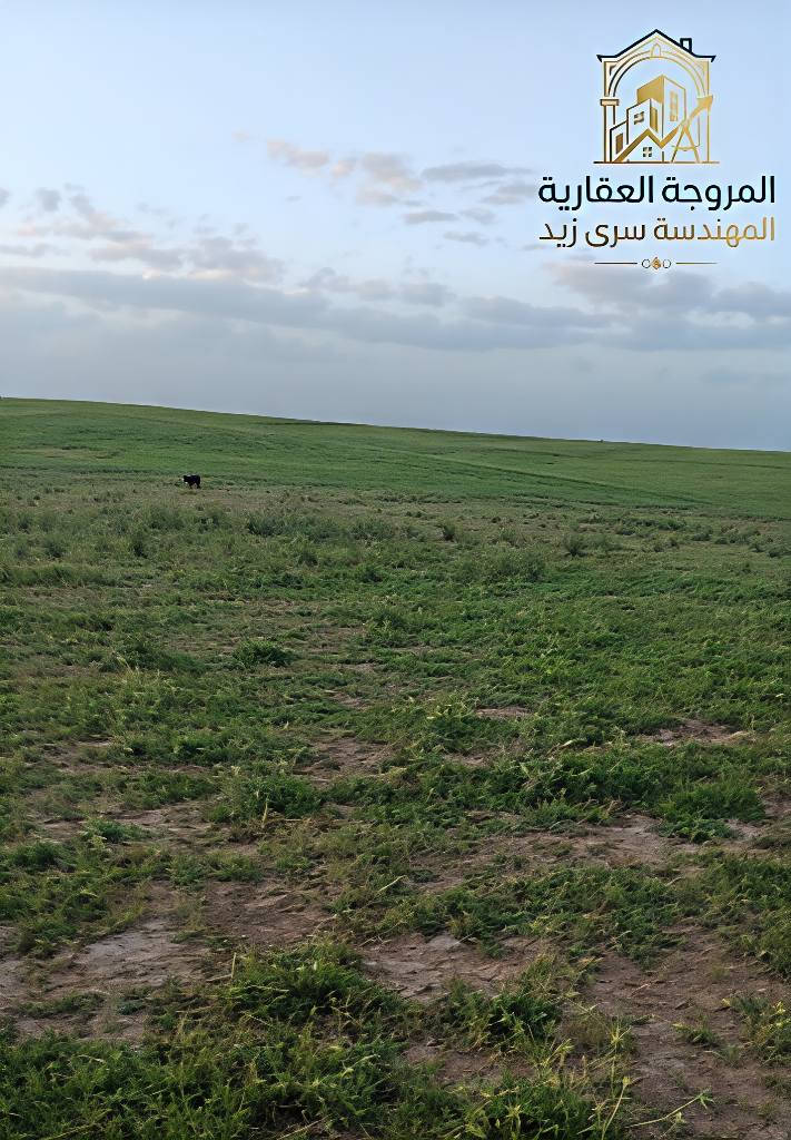 عـرض عـقـاري: أرض لـلـبـيـع ✨

 الـمـوقـع: الـقـوسـيـات / الـصـعـدة - مـجـاور خـربـة عـسـكـر.
 الـمـسـاحـة: 200 مـتـر مـربـع (الـواجـهـة 10 مـتـر).
الـصـنـف : زراعـي (مـع إمـكـانـيـة الـبـنـاء الـفـوري). 🧱

💬 لـلـسـعـر والـتـفـاصـيـل:
اتـرك تـعـلـيـق بـكـلـمـة (تـم) وتـصـلـك الـرسـالـة فـوراً.

📩 لـطـلـب تـسـويـق عـقـاراتـكـم:
نـسـتـقـبـل عـروضـكـم عـبـر رسـائـل الـصـفـحـة.

بـإدارة الـمـروجة الـعـقـاريـة:
الـمـهـنـدسـة سـرى زيـد 🖋️ موصل, نينوى


**إذا كنت صاحب هذا الإعلان وتريد حذفه لأي سبب، رجاءا أرسل رسالة إلى الدعم الفني**