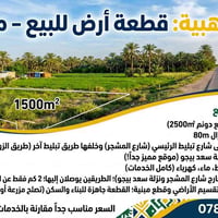 نزلة سعد • ١٥٠٠م • ارض