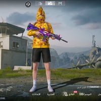 حساب نوادر • 4 امفورات • للبيع