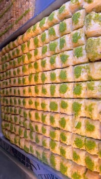 بقلاوة تركية • فستق حلبي • دهن حر فرنسي