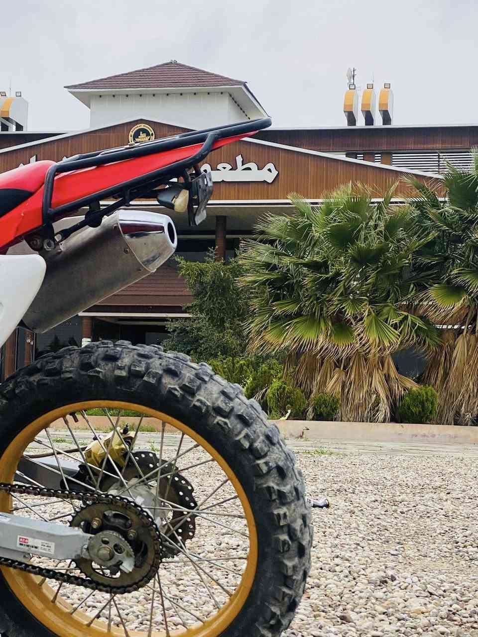 قفاز GRX الحجم الكبير   /موديل 2023
اخو الزيرو ستعمالها شهر فقط /شعندك مراوس نزل حسب القناعه اراوس او لا ❤️👌


**إذا كنت صاحب هذا الإعلان وتريد حذفه لأي سبب، رجاءا أرسل رسالة إلى الدعم الفني**