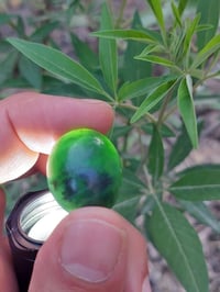 يشم أفغاني • طبيعي