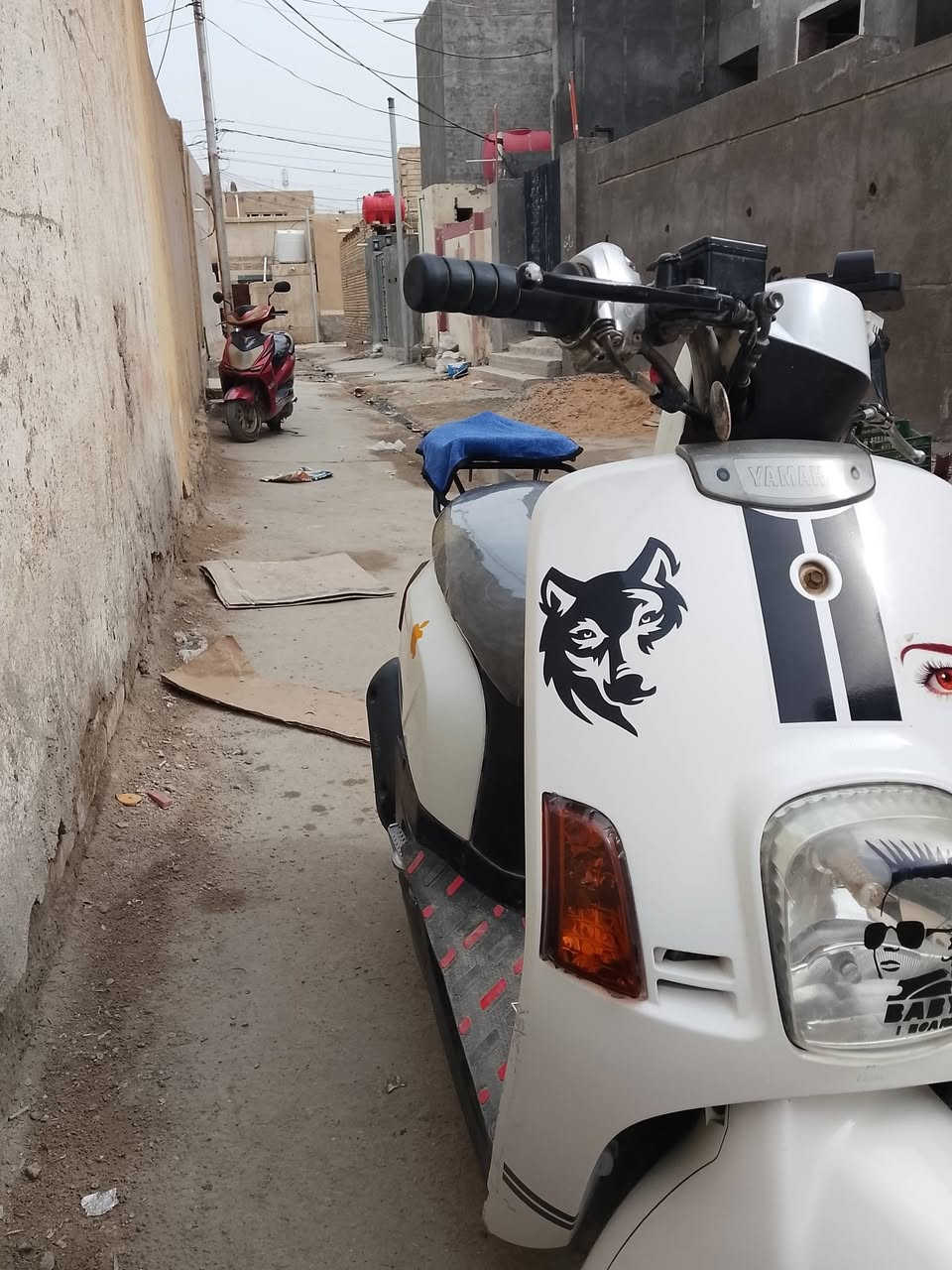 بواليس نضيفه كابريتر مرتبه ما بيه نقص كفاله عامه ومن يمك صور وحكم عليه رسني خاص يا شرايي


**إذا كنت صاحب هذا الإعلان وتريد حذفه لأي سبب، رجاءا أرسل رسالة إلى الدعم الفني**