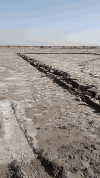 سلام عليكم دونم للبيع  زراعي بالحميديه بسعر مناسب الاستفسار رقم الهاتف***********
