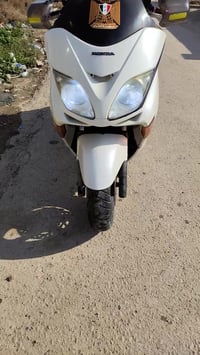 فورزه • ٨/١٠ • جسر ديالى بغداد