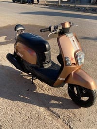 دراجة بوليس • مبدل فقط • دهن أمريكي