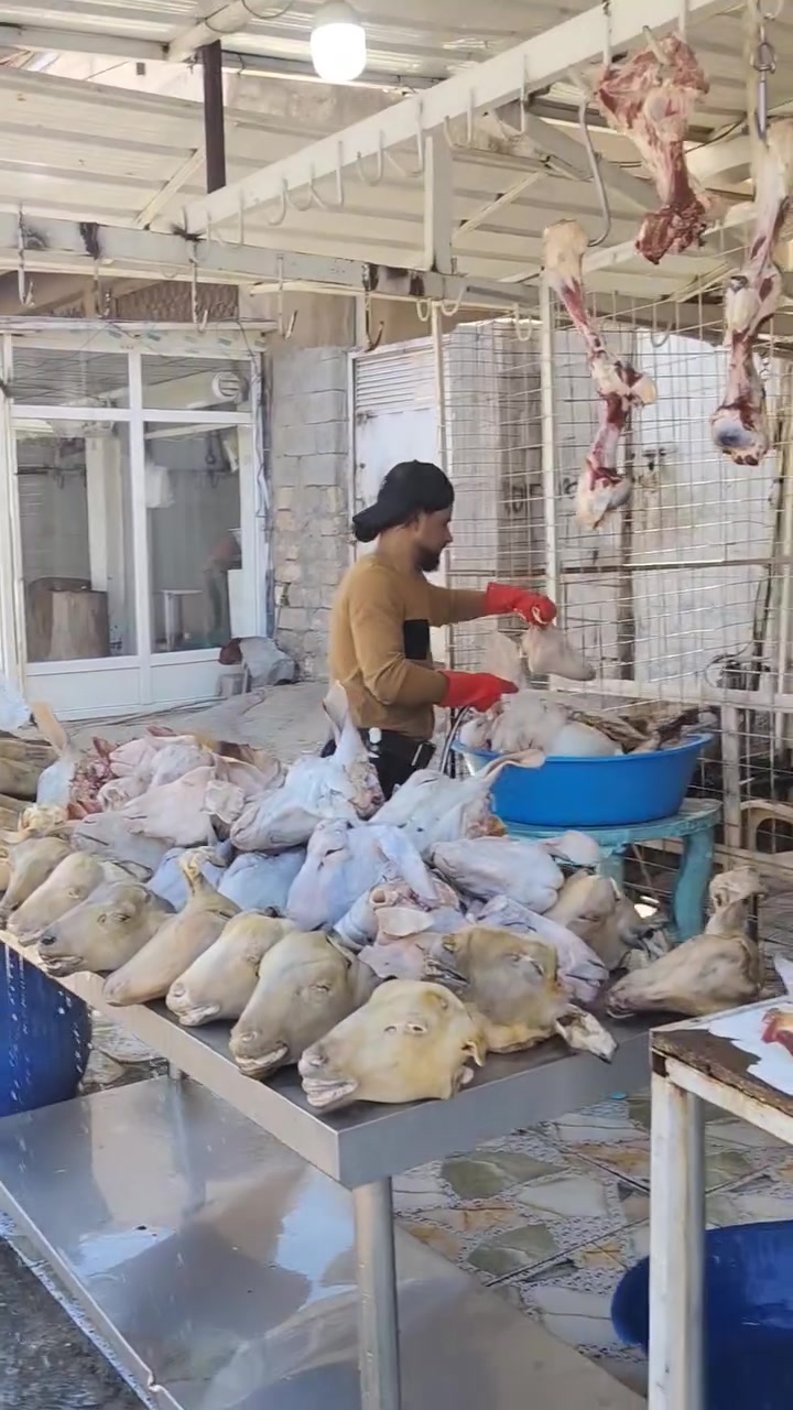 عمي سلام عليكم كل يوم ننشرلكم باجات و كراعين بس اليوم غير شي اليوم حتى عضام حولي فلس ونص عضام حولي الكيلو 3000 آلاف الباجه شرط عراقي وكدام العين باجتين بس 25 آلاف كراعين حولي اربعه 30 آلاف العنوان صلاح الدين تكريت شارع الباشا سوك القصاصين رقم الهاتف ***********  اتصل عل رقم وتحياتي الطيبين

