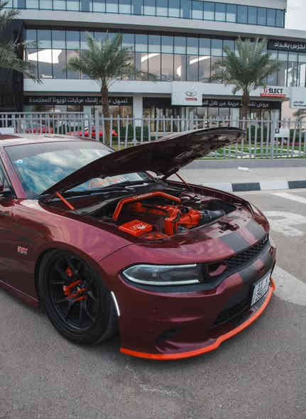 عشاق العظلات الامريكية ✈️🔥
دوج جارجر سكات باك لون كرزي .  19 Scat Pack 
وارد أمريكي  نظيفة جدا وماناقصة اي شي  فول عده الفتحه 
من انصف واقوه السكاتات بغداد السياره معروفه 

#الموديل : 2019. ( امريكي) . حادث بنيد وجاملغ والباقي كفاله شاصي لغد مكينه كير اكسل كلهم كفاله 
#المحرك : SRT . V8 . 6.4L برتقالي .
#العداد 40,900 ml قابل لزياره 
رقم بغداد الجديد وهزه جديده  ابسمي تحويل ثاني يوم 

                         ****************
 المواصفات :
* تحذير الخروج عن المسار . 
*  نقطة عمياء . 
* مكابح رياضية (برمبو) . 4 بستم 
* لايت LED . 
* كاميرا خلفية . 
* امكانية التحكم بوضعيات المقود كهربائيا . 
* كزوز سستم . 
* حساسات خلفية . 
* ويل قياس 20 أنج 
* سستم صوت ALPINE . 
* تشغيل عن بعد . 
* مقاعد رياضية حضن + جلد . 
* المقاعد الأمامية تبريد وتدفئة . 
* نظام خرائط GPS . 
* شاشة كبيرة قياس 8.4 أنج اوپشنات SRT 
* تدفئة ستيرن . 
* كير شفتر بالستيرن . 
* جناح خلفي . 
* بلوتوث تلفون . 
* محدد سرعة . 
* كشن جلد 
                             ****************
الإضافات 

_شوته 
_جكات 
_هدرز
_اويل بلت 
_اويل برثر
_نوزلات ازرق الطويل 
_بلكات ريسنك 
_ولف حماوه مشيمتو 82  اصلي 
_اكس بايب داون بايب كامل وسطيات CLB
_‏fm pro max m2
_فيول بم ريسنك عبوه كامله 
_اويل كاج كان بولت 
_دبات srt اسود 
_ثروتر bbk كامل 
_العقل مفتوح اول لاين تفريغ كامل فصله سيڤتي كامل برمجه داينو مصطفى ايكل 
_ تخم ويل روهانه الجديد 
_تخم تاير جديد خلفي 315 امامي 275 
_وشم كامل على سياره 
_اضافه دواخل مكينه 
_سترس بار 
_ستدات طلقه 
_فجوج 4 بستم 
_ لد فسفوري ابيض ترحيب 
_ عدسات LED انارتها نهار 
_ لدات بنيد 

                          **************

السياره لتقارنها بستوك السياره مصروف عليها خير من الله مابيها كال نقص 
*للاستفسار الاتصال عل *********** 
مكان السيارة ( بغداد_ دورة)
