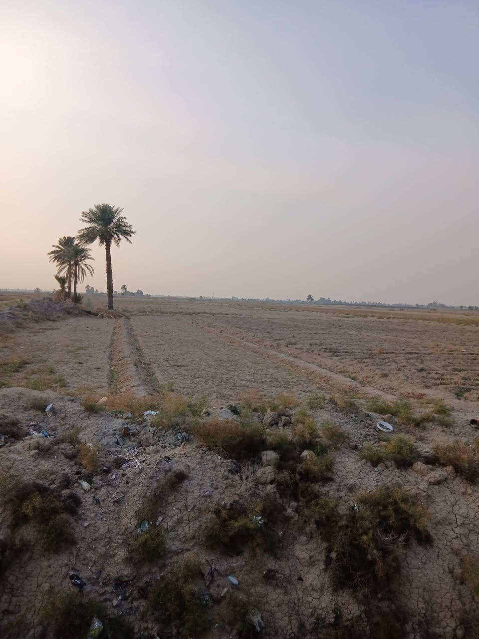 سلام عليكم قطعت ارض البيع ٢٠دونم مع بيوت اثنين السعر ٣٠٠عنواني بابل جبلة ***********
