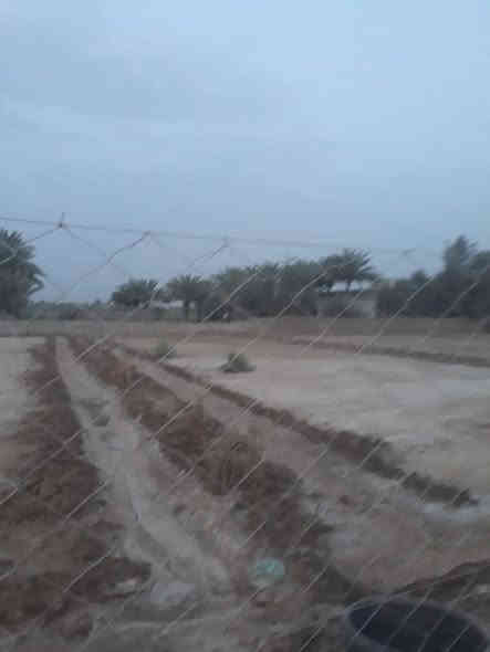 افراز جديد قطع اراضي المساحة من ٦٠٠م وفوك 
كامل الخدمات ماء كهرباء تبليط انارة شارع
الموقع 🌏 / وردية البوعليان قريبة على جدول بابل 

للأستفسار مراسلة الصفحة او الاتصال على الارقام التالية 
***********
***********
