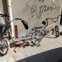 شحن • بدون بطارية • باسكل