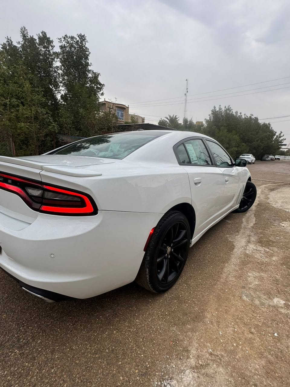 السلام عليكم 🫡
جاجر 2015 كلين 
مكفوله كفاله عامه  
مواصفات سيارة نص فول 
سيارة جديدة بمعنى الكلمه 
مكينه 3600 وضع شركه 
كير طيارة 
صدر امامي خلفي جديد 
تخم تاير جديد 
كشن سائق كهرباء 
تبريد ثلج على وضع شركه 
حساسات خلفيه 

شاشه وكامرة دوارة 
رقم شمالي تحويل ثاني يوم 
رقم سنويه هزة كله جديد
سيارة جديدة بمعنى الكلمه  سعر السيارة 194 وبيها مجال 
مكان سيارة بغداد الزعفرانية 
***********
