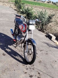 ستوته • تاير جديد • المجر الكبير