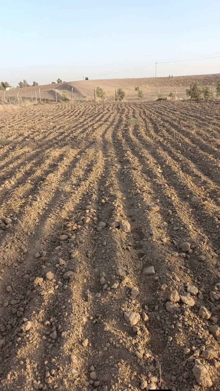 🌲#‌1دۆنم_زەوی_ بۆ فرۆشتن  نرخی زۆر هه رزانە بەڕاستی
🌲#نرخی_140وەرقەومعاملا
🌲ناونیشان  قەزای ڕزگاری
🌲#نزیك_مەزاری_ئەنفالەکان______دێبنە____
🌲 #تاپۆی_شیخە
🌲یەک ینجە  ئاو تیایە
🌲کارەبا ی سەربەخۆ 
🌲  چوار دەوری هه موی سیاجە
🌲شوێن‌ێکی خۆشی هەیە لە دووساید قیر 300مەتر دوورە 
🌲 خانوو  زۆر باشەوگەورەیە تیایە ⛪
‌🌲 چوار دەوری دارە🌲🌲🌴🪴
🌲بۆزانیاری زیاتر ژم
🌲*********** ئاریان گڵاڵێ
