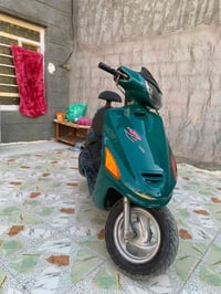 فراشه كرستال • فحل • سلف