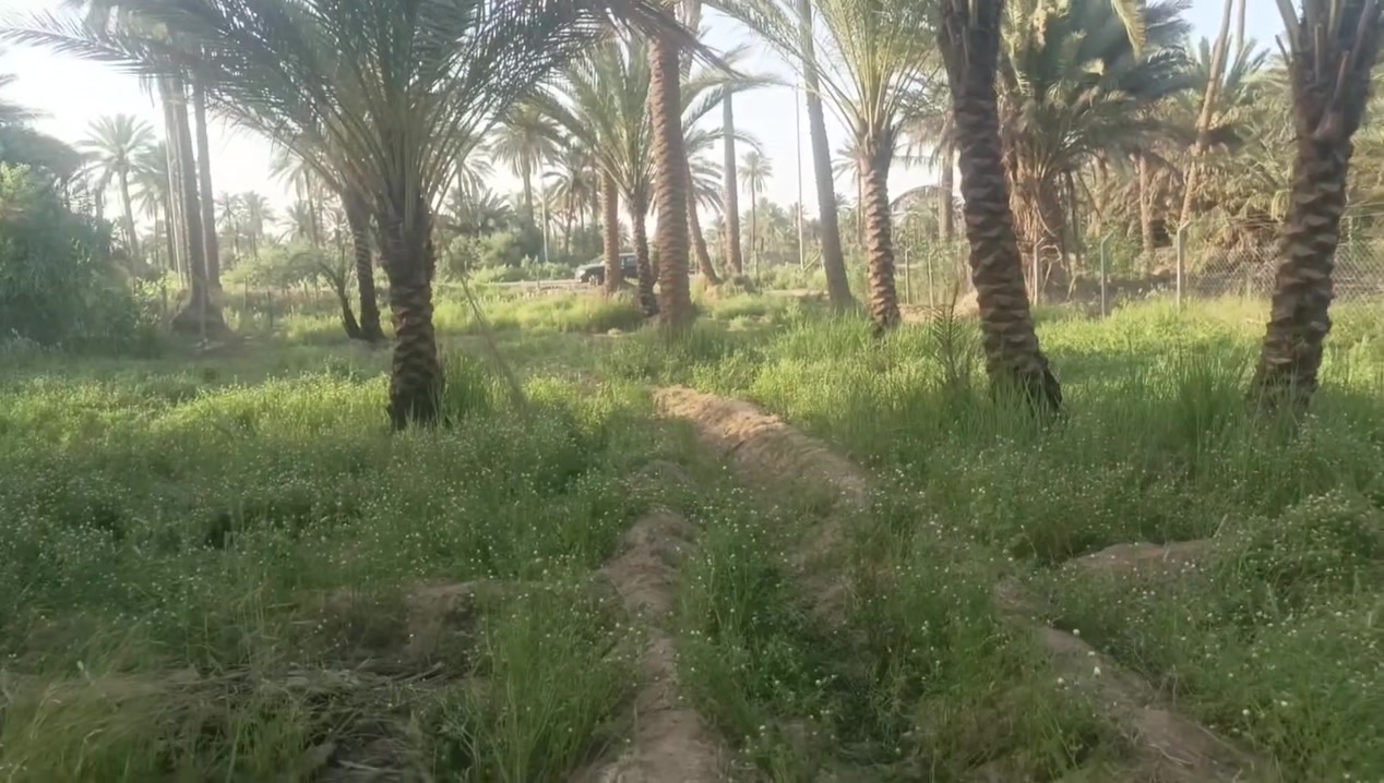 السلام عليكم
#ثلاثه دونم وربع
#طابو زراعي سند 25 سند مستقل 
#الارض مباشر على تبليط نهر سقي مغلف 
#الارض تصلح سكن او اي مشروع لن شارع عام 
#كافه خدمات متوفره يمك
#موقع كربلاء منطقه الدوهيه 
#استفسار 👇
(***********)
(***********)
