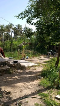 كربلاء شارع السيدة زينب • ٦٠٠م • واجهة ٢٠م