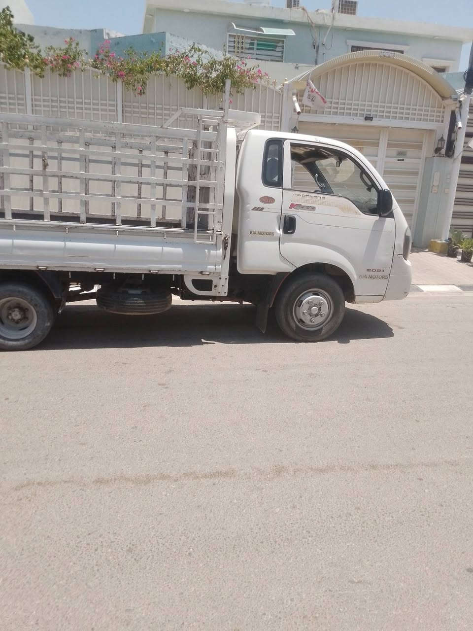 فحل البيع مديل 13 السعر 100  بيه مجال بصيط ***********
