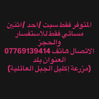 موثقة بتطبيق اجرلي