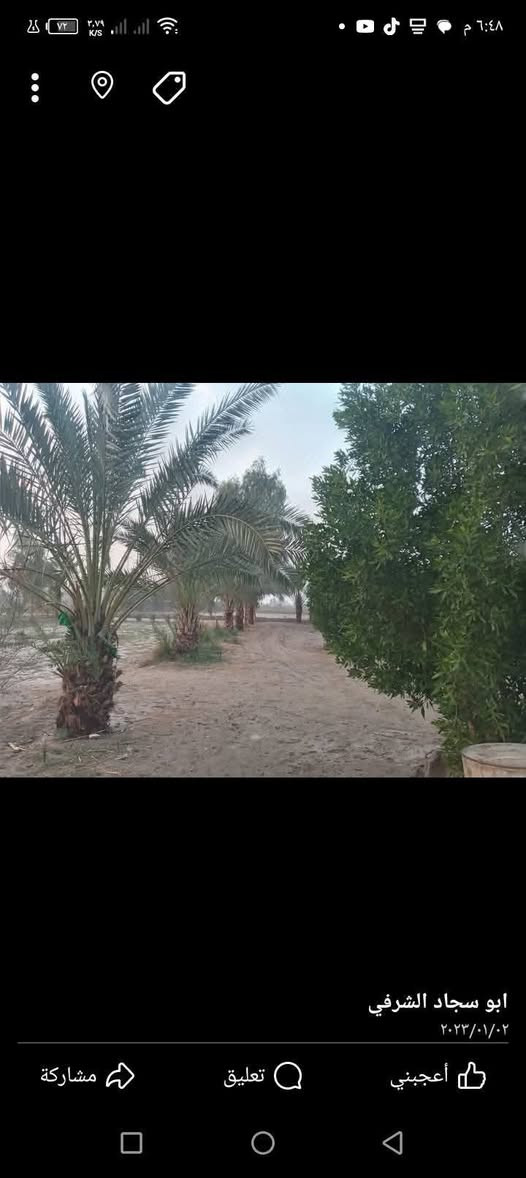 سلام عليكم ورحمه الله وبركاته قطعه ارض زراعيه للبيع 7دونم بيها بيت يتكون من 3غرف ومطبخ وصاله وستقبال وصحيات خارجيه يوحد فيها حقل مال حلال مبني بناء كامل  بيه نخل تقريبن 50 نخله وبيه نبك مطعم وباقي بيها بعض الاشجار الكاع رزاعيه ودرجه اوله يوجد فيها ماء توجد ارض متلاسقه اليها 5دونم  تقع في بابل ناحيه الشوملي منطقه الخضريه قرب مدرسه ثانويه الاجتهاد المختلطه تبعد عن الشارع تبليط 150متر قريبه منها مدرسه بتدائيه ومتوسطه وعداديه  التواصل والتفاصيل مع هاذا الرقم *********** بي واتساب

