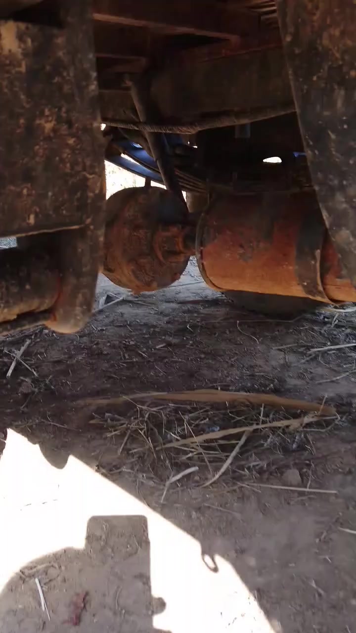 ستوته للبيع فحل على كل عيب شواصي مكفوله من كلشي رقم  الموبايل ***********
