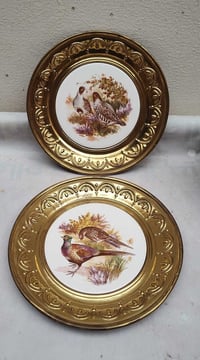 متوفر • حجز خاص • ديكور