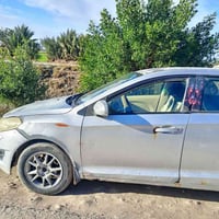 شيري فلاوين • ٢٠١٣ • النجف المشخاب