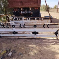 كيا • محجل • فصال سوري