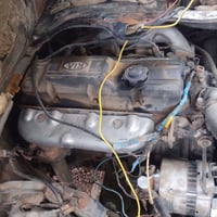 محرك وكير • مكفول • التاجي