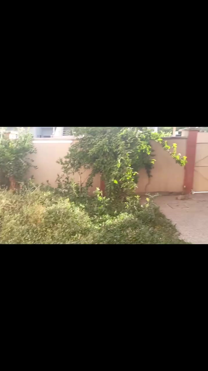 #للايجار 
دار للايجار حي الزهور شارع ١٧
٣٢٠ متر
الارضي غرفتين نوم وهول كبير واستقبال كبير  كراج كبير حديقة 
الثاني غرفتين نوم سويت مع غرفتين نوم مع مشتملات
طبعاً التصوير بس الارضي الثاني بي ٢ غرفتين نوم سويت وغرفه نوم كبيرة وهول كبيرر ومكان مطبخ 
@الايجار ٦٠٠   مقدمه ٦ أشهر 
#الاستفسار مراسله الصفحه


**إذا كنت صاحب هذا الإعلان وتريد حذفه لأي سبب، رجاءا أرسل رسالة إلى الدعم الفني**