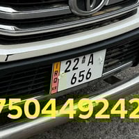 رەقەم زەردی باڵهەرگر ژینگە و ڕێگاوبانی نوێە غرامەی لەسەر نیە رەقەم 075...