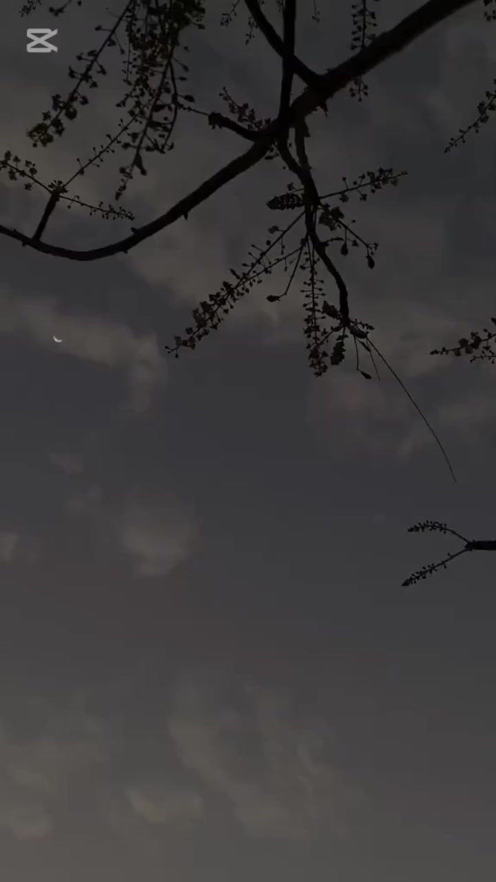 "تألق في رمضان…🌙
واختر فخامتك مع ال زيدان للزي العربي" 

العنوان / طوز حي العسكري سايدين جامع الشهداء مقابيل مدرسه دمشق الابتدائيه


**إذا كنت صاحب هذا الإعلان وتريد حذفه لأي سبب، رجاءا أرسل رسالة إلى الدعم الفني**