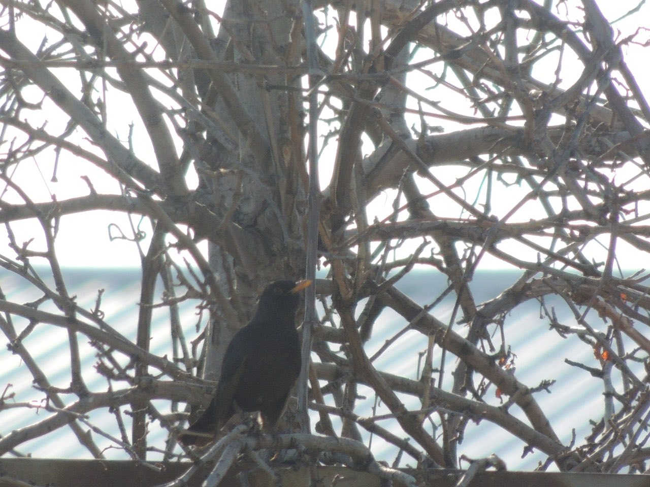 nikon p510 -ZOOM-42X


**إذا كنت صاحب هذا الإعلان وتريد حذفه لأي سبب، رجاءا أرسل رسالة إلى الدعم الفني**