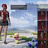 حساب • ٣٣ سلاح • سيارتين