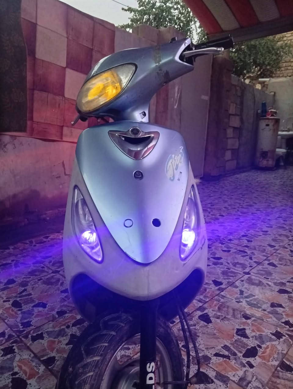 درجه ماكس منغولي للبيع سعر 500 *********** ابو خستاوي
