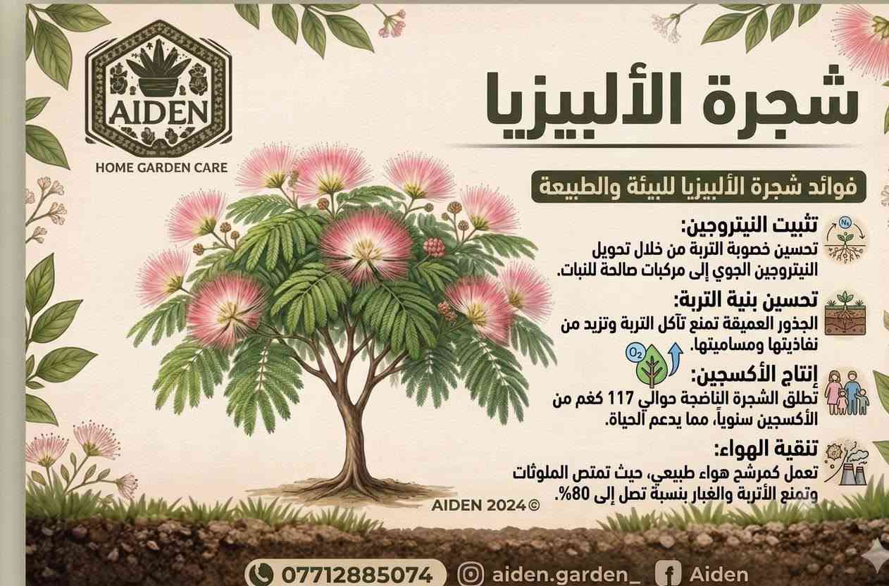 بيتك يستاهل واجهة حلوة ❤️
في ظل حملة تشجير العراق الجارية
يسر مكتب عدن ان يوفر لكم زراعة شتلتين من نوع البيزيا او اكاسيا لكافة منطقة الطي 
والكاظمية
بسعر 15 الف فقط!
شاملة:
التوصيل ✅
الزراعة ✅
كل ماعليك مراسلة الصفحة او الاتصال بالرقم ***********
