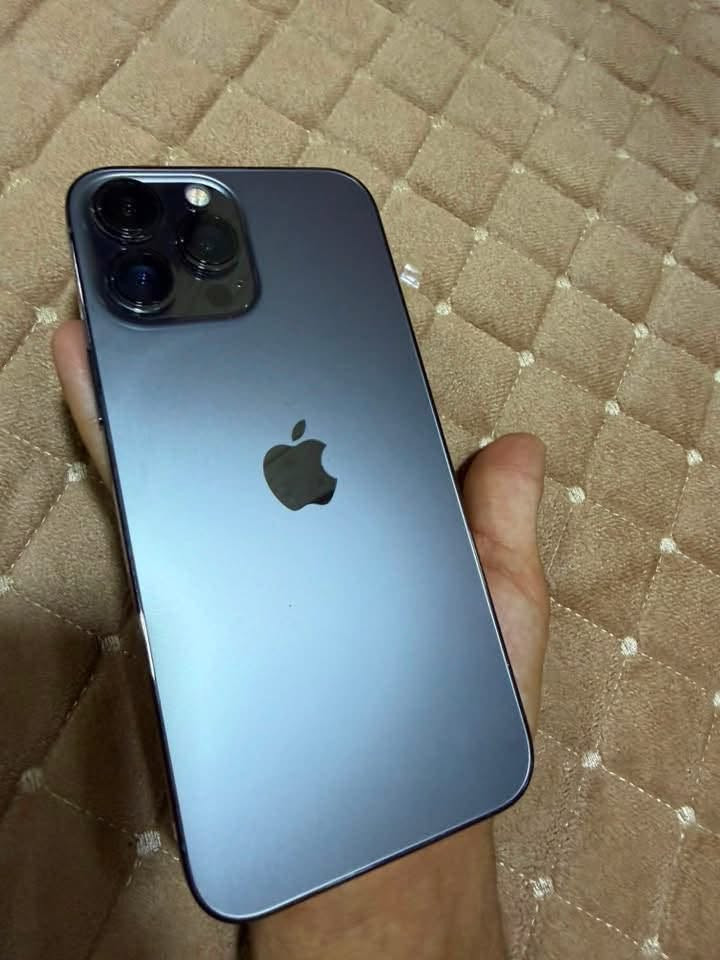 السلام عليكم الي يريد جهاز وكالة هذا 13 PRO MAX وتر بروڤ ما داخل مصلح اشتريتة قبل 6 اشهر جديد وكالة💕
نموذج/M ذاكرة 256
بطارية/ 93 بلادي شرط الفحص💕
الجهاز شريحتين فعلية+ الكترونية
جهاز كامل الملحقات عدّى الكارتون اذا لكيتها ادزها
امانة الله شخط واحد مابي حيل محافضين علي💕
مكاني بغداد الامين الثانية او المشتل متواجد فقط واتساب
 واتصال ***********وبخدمتكم بكُل وقت❤️ سعرة (725) قفل بدون عملة واتساب واتصال فقططط
