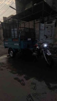 صقر • ستوته 21 • أوراق كاملة