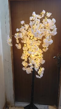 قطعتين • شاحنة موبايل • توصيل داخل الحلة