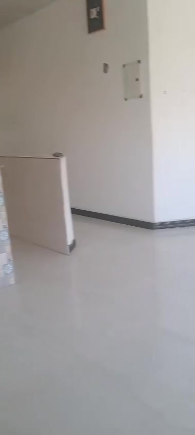 شقه للايجار بالقبله بحي القائم بيها غرفتين نوم وهول ومطبخ وصحيات وكيزر وتانكي وماطور اجاره ب400 مطلوب عائله صغيره وموظف اي استفسار على هذا الرقم ***********
