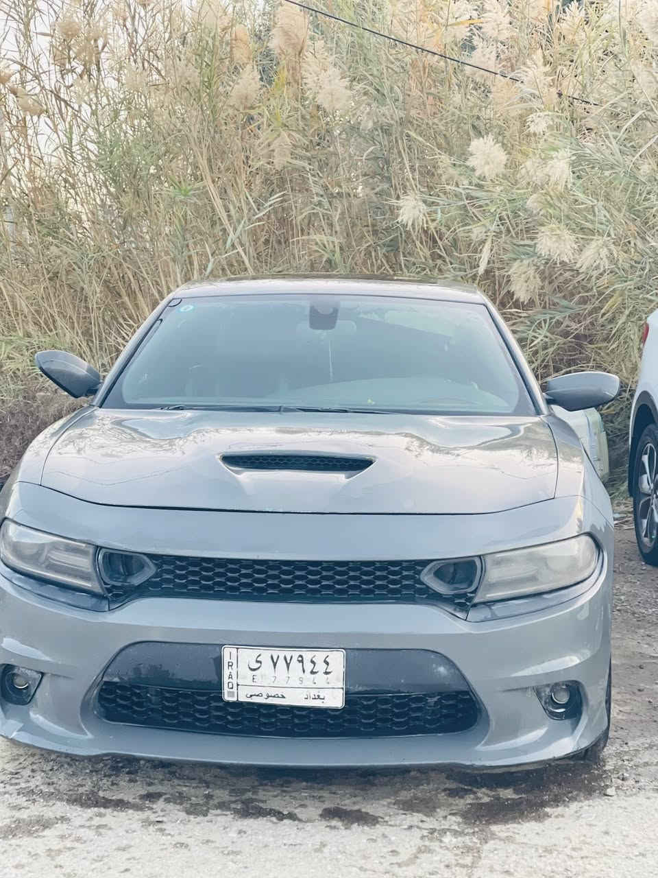 جارجر 2019 فول مواصافات
حادث خفيف بدون ارباك 

جاملغ ايسر وبنيد محدث 

كشنات جلد حضن تدفئة تبريد 

خزن ميموري 

شاشه وسط 

فتحه 

تخم تاير وحدايه وسط

225 وبيها مجال

مكاني ناصريه سوق الشيوخ  

مامتواجد بالفيس 

***********
