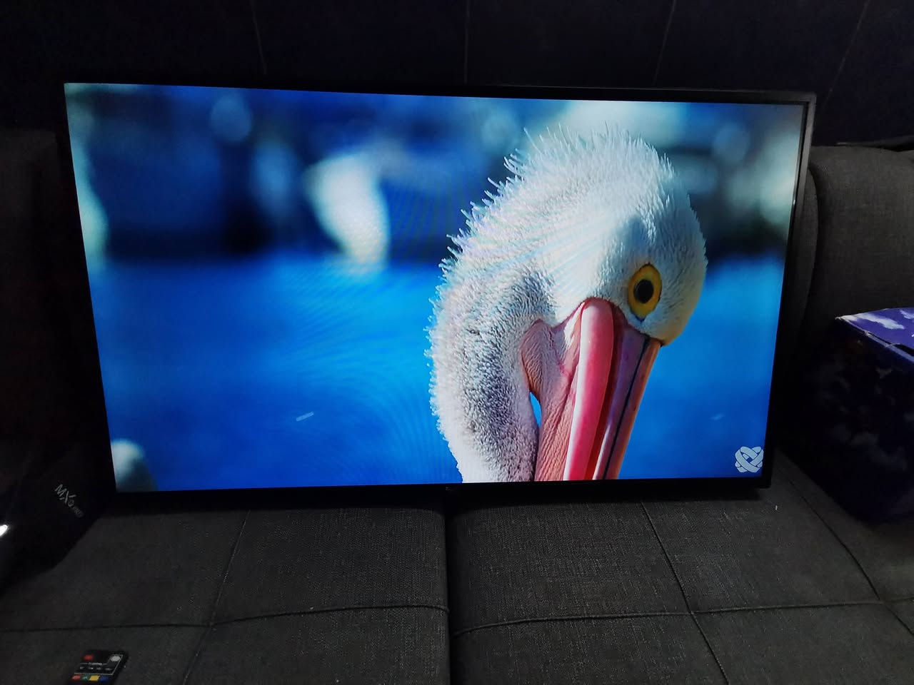 سلام عليكم اخواني عندي شاشه نوع جنرال ماستر الحجم 42 نضيف جدا بدون نت السعر 120 الف بي شويه مجال حك جيتكم العنوان البياع حي الرساله الأولى قرب مدينة العاب الكرخ تلفون ***********
WhatsApp +964***********
